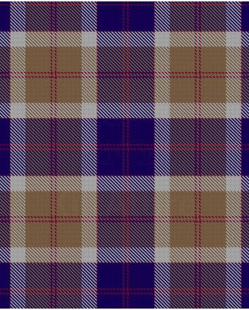 Bannockbane Navy Tartan Kilt