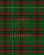 Arkansas State Modern Tartan Kilt Fabric