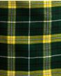 Avalon Calvert House Modern Tartan Kilt Fabric