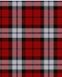 Brodie Dress Modern Tartan Kilt Fabric