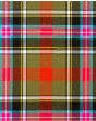 Bruce of Kinnaird Ancient Tartan Kilt Fabric