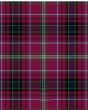 Clifford Modern Tartan Kilt Fabric