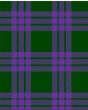 Elphinstone Modern Tartan Kilt Fabric