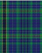 Eynon of Wales Modern Tartan Kilt Fabric