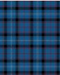 Fitzgerald Family Tartan Kilt Fabric
