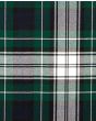 Fobes Dress Modern Tartan Kilt Fabric