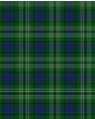 Graden Modern Tartan Kilt Fabric