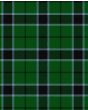 Innes Hunting Tartan Kilt Fabric
