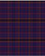 James of Wales Modern Tartan Kilt Fabric