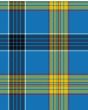 Laing Dress Modern Tartan Kilt Fabric