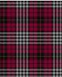 Little of Morton Rigg Modern Tartan Kilt Fabric
