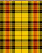 Morgan of Wales Modern Tartan Kilt Fabric