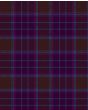Phillips Family Modern Tartan Kilt Fabric