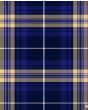 Rees (Preece) of Wales Modern Tartan Kilt Fabric