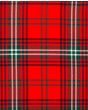 Seton Modern Tartan Kilt Fabric