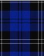 Swan Modern Tartan Kilt Fabric