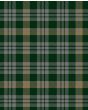 Twisted Kilt Society Tartan Kilt Fabric