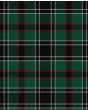 Wild Highlanders Tartan Kilt Fabric