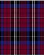 Wynn of Wales (Gwyn of Wales) Modern Tartan Kilt Fabric